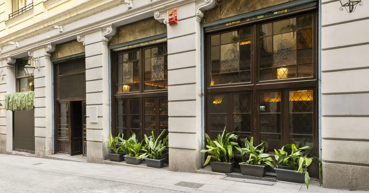 A stone building facade with tall dark-framed windows lit from within and planters of leafy plants on the pavement
