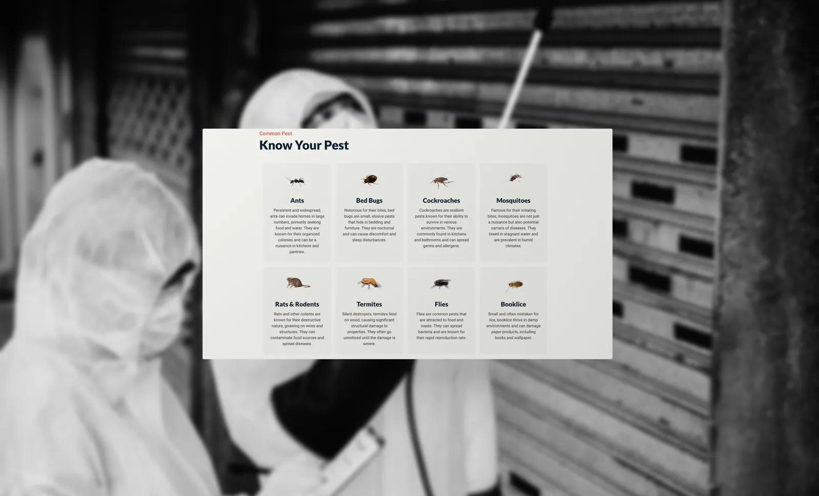 Eminent Pest Control, project image 3