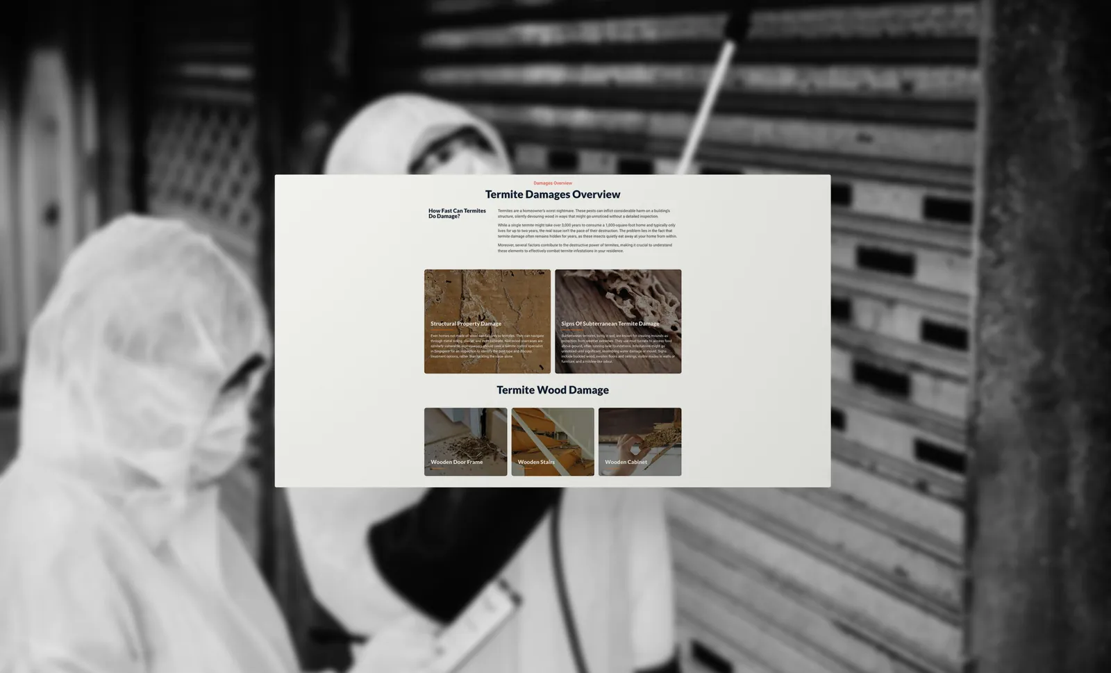 Eminent Pest Control, project image 4
