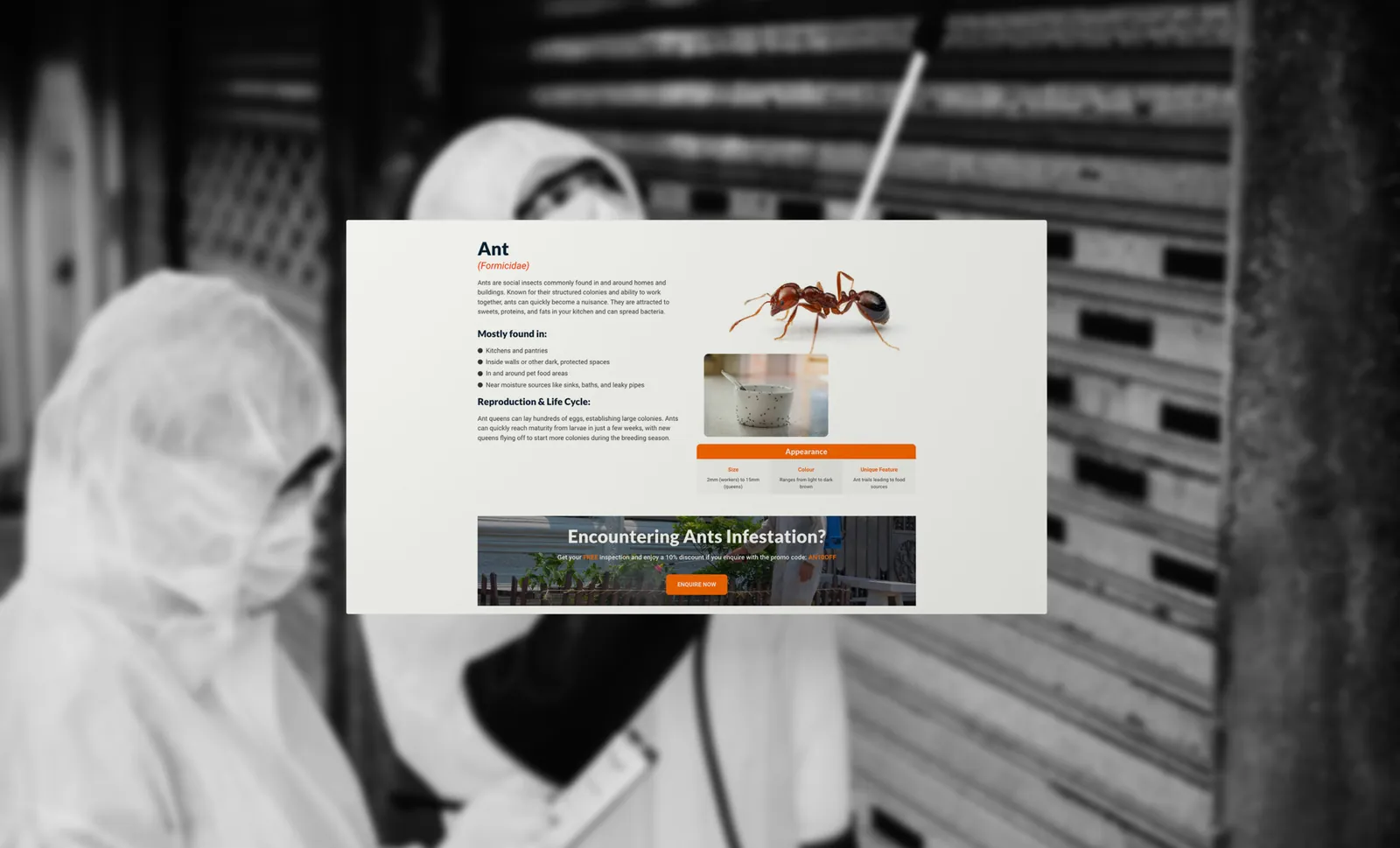 Eminent Pest Control, project image 6