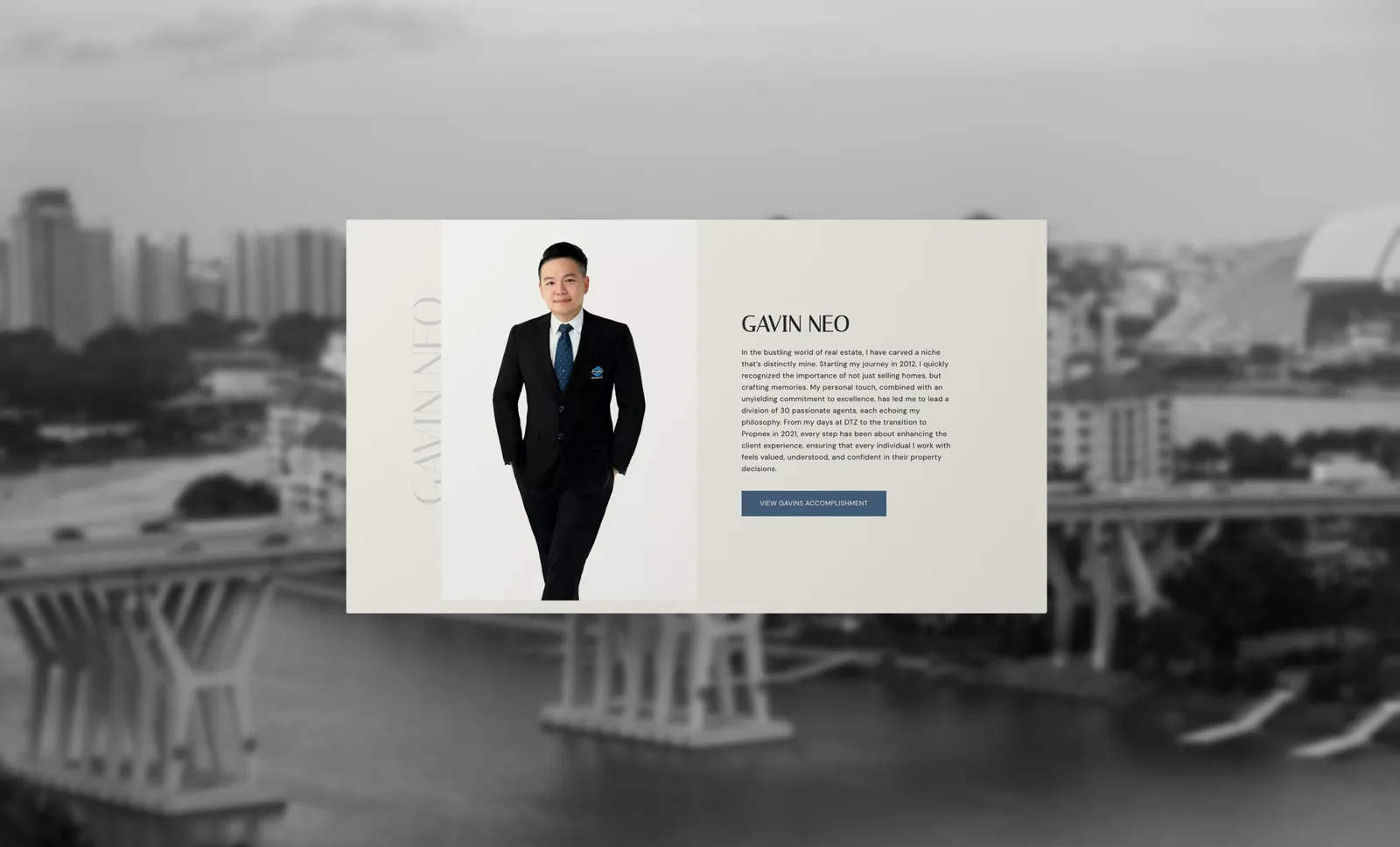 Gavin Neo, project image 3