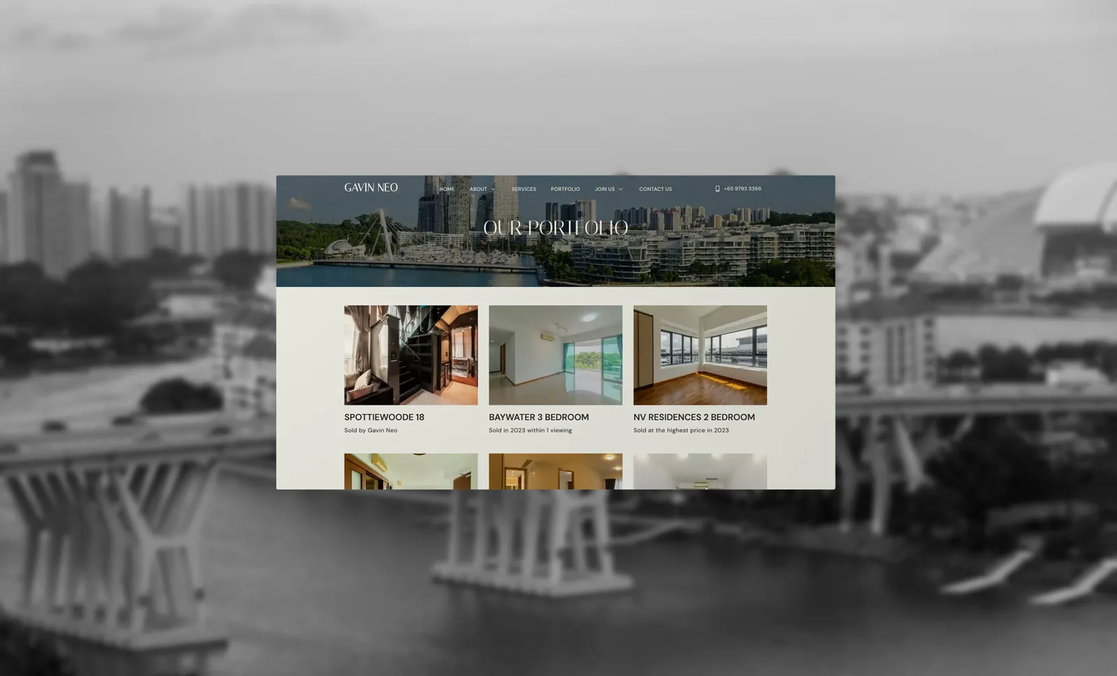 Gavin Neo, project image 5