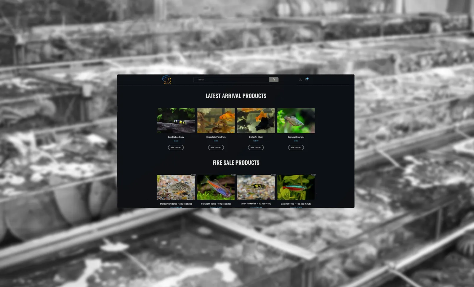 Mainland Aquarium, project image 3