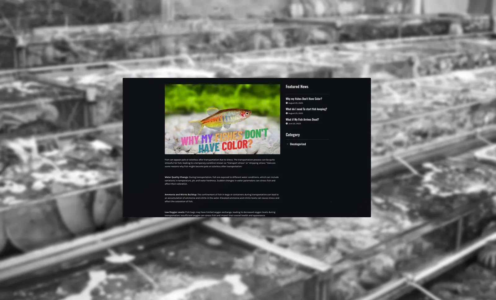 Mainland Aquarium, project image 4
