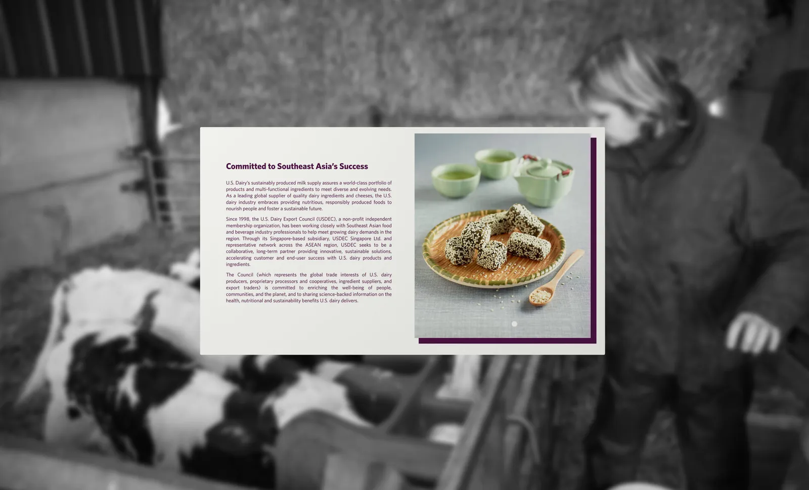U.S. Dairy Export Council, project image 3